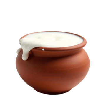 Matka Curd – Thick & Creamy | Hand-Set in Clay Pot – 200 Grams