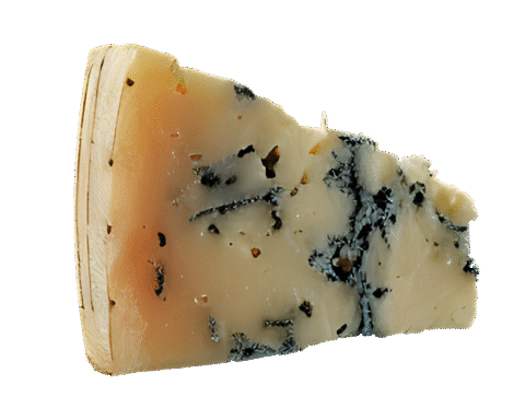 Gorgonzola