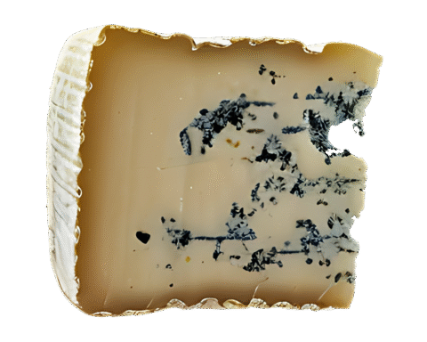 Parmigiano